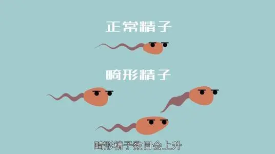 <b>男人精子畸形 精子畸形可以做试管婴儿吗</b>