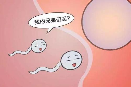 <b>去医院检查出精子活力不好还能做试管吗？</b>