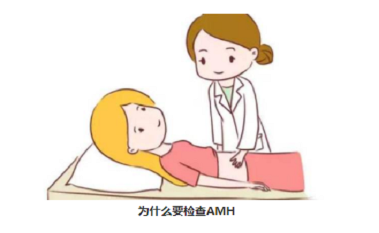 <b>检查AMH有什么用？</b>