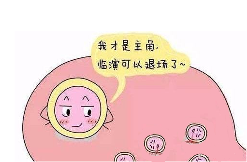 <b>卵泡发育到多大适合备孕？</b>