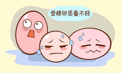 <b>发育不良的卵泡怀孕了会流产吗？</b>