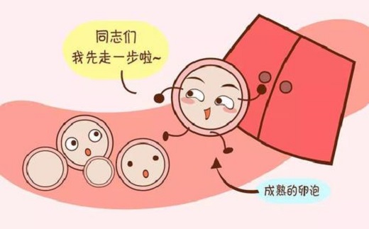 <b>想要好孕先看看卵泡是不是正常？</b>