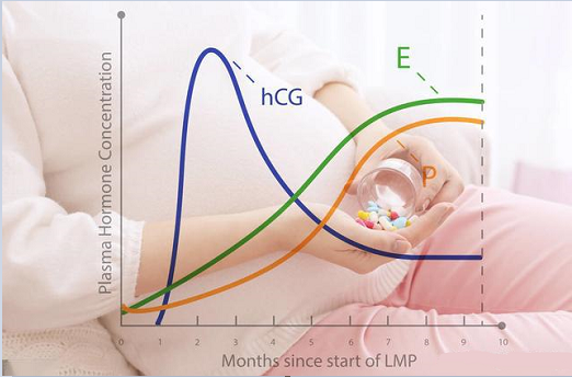 <b>激素平衡对于怀孕到底多重要？</b>