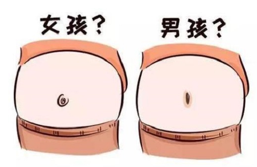 <b>生男生女和遗传有关吗？</b>