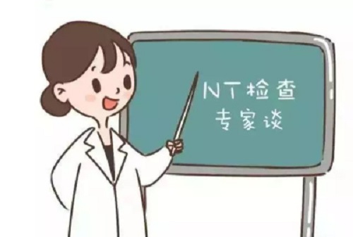 <b>NT结果可以看出胎儿的性别吗？</b>