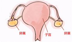 <b>卵巢早衰如何备孕，卵巢早衰想生孩子</b>