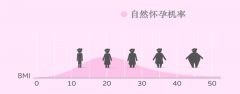 <b>做试管婴儿为什么要减肥？能提高成功率吗？</b>