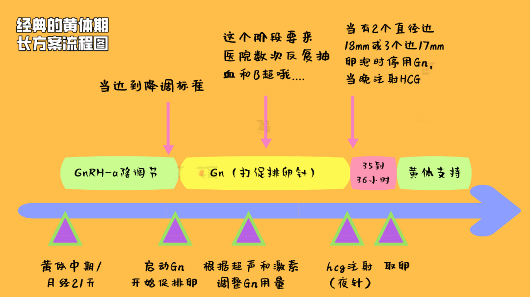 试管姐妹们，想了解的各种促排卵方案都在这