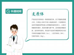 <b>支原体感染是怎样引起不孕不育的？如何诊治？</b>