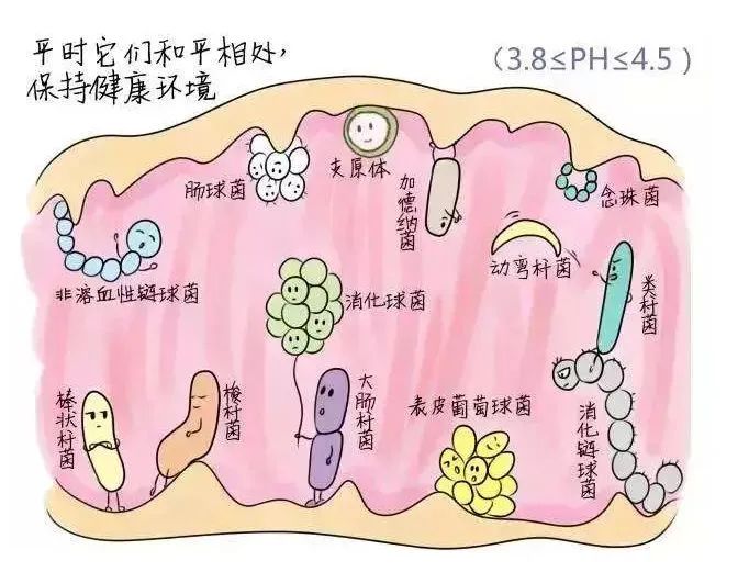 支原体感染是怎样引起不孕不育的？如何诊治？