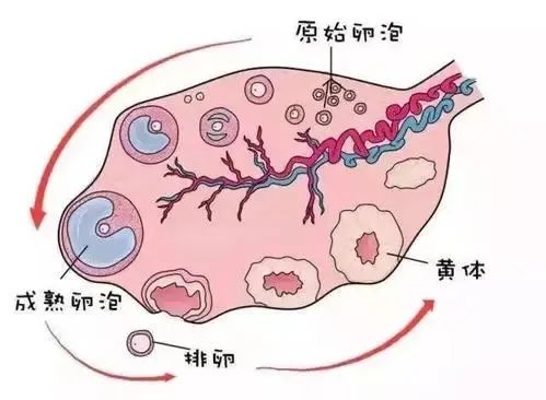 做试管最沮丧的7个意外，你不得不知道