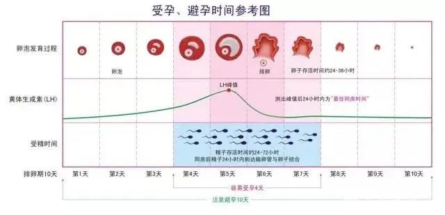 80%的人都错了！排卵试纸的精准用法，一定得看！