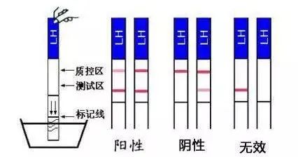 80%的人都错了！排卵试纸的精准用法，一定得看！