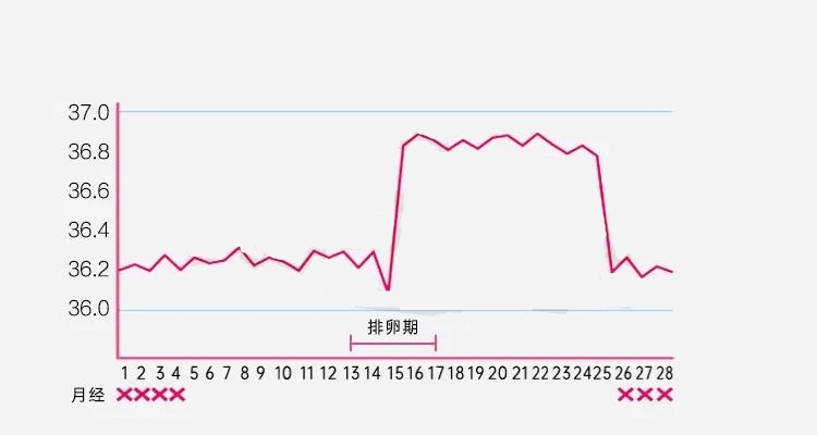 备孕抓准排卵期，这个方法很多人都用错了！